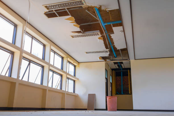 Professional Water damage restoration in Charlotte, MI