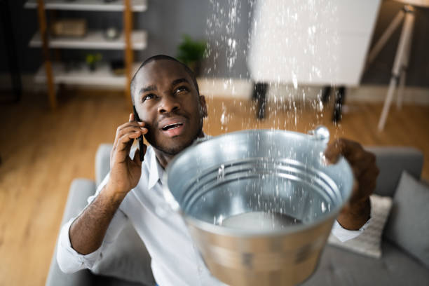  Charlotte, MI Water damage restoration Pros