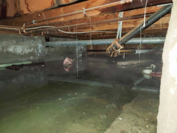 Best Fire Damage Restoration  in Charlotte, MI