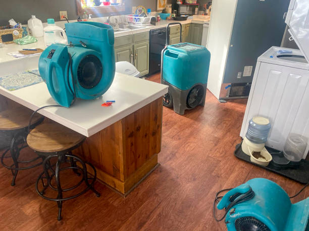 Best Water damage restoration near me  in Charlotte, MI