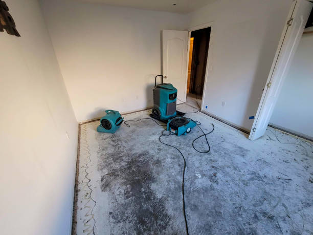Best Commercial water damage restoration  in Charlotte, MI