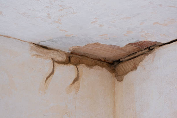 Best Water damage repair service  in Charlotte, MI