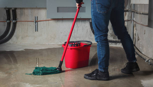 Best Ceiling water damage repair  in Charlotte, MI