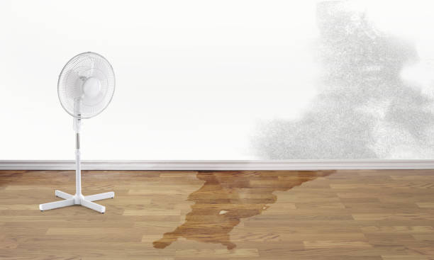 Water damage restoration process in Charlotte, MI