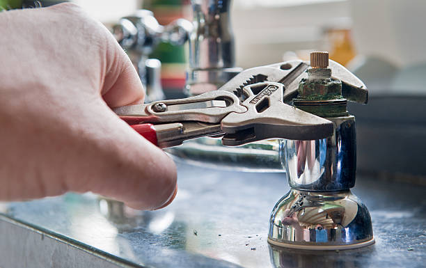 Best Basement water damage restoration  in Charlotte, MI