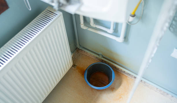 Best Mold removal after water damage  in Charlotte, MI