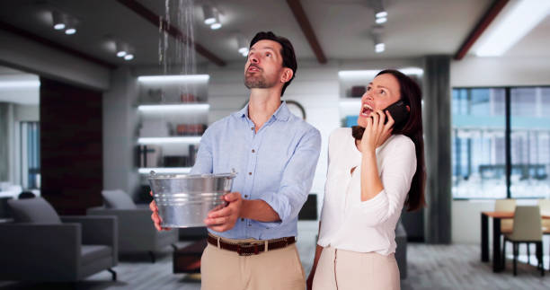 Water damage restoration mold remediation in Charlotte, MI