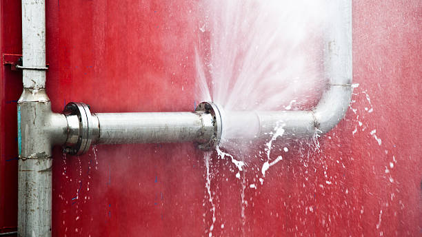 Best Flooded house restoration  in Charlotte, MI